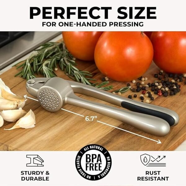 Premium Stainless Steel Garlic Press Set